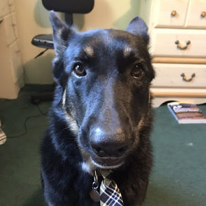 Meet your Posher, Felix